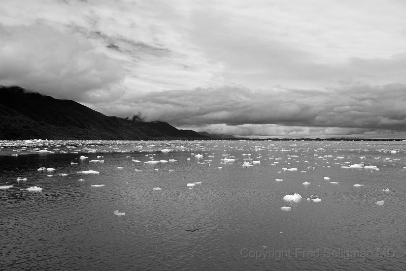 20071217 131056 D2X (150) 4200x2800.jpg - Icebergs. Laguna San Rafael